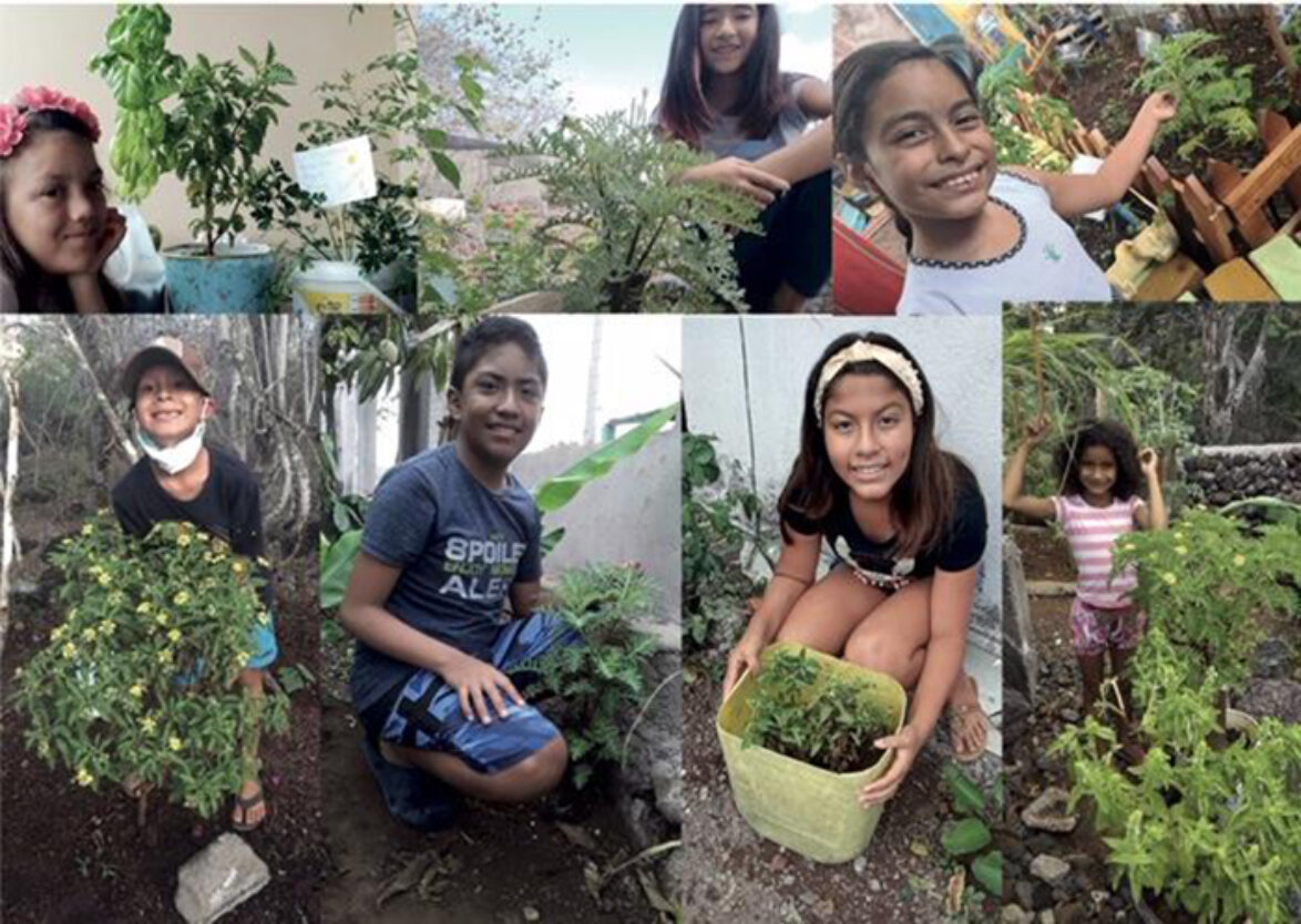 Many happy students with their Darwin’s Lecocarpus plant