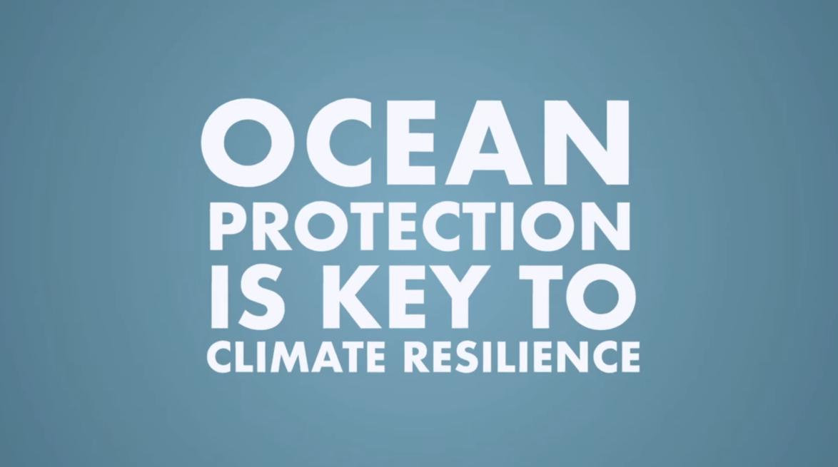 Ocean protection is key to climate resilience