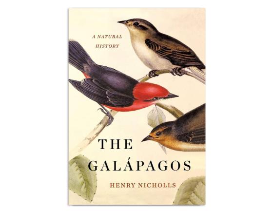 Henry Nicholls - The Galapagos
