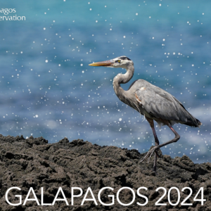 Galapagos Conservation Trust 2024 wildlife calendar