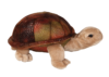 Giant tortoise adoption toy
