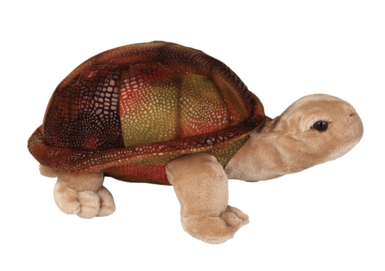 Giant tortoise adoption toy