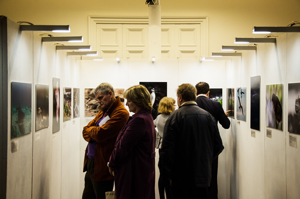 Guests Enjoying Falmouth University's Photography Exhibition © Charlie Cupples