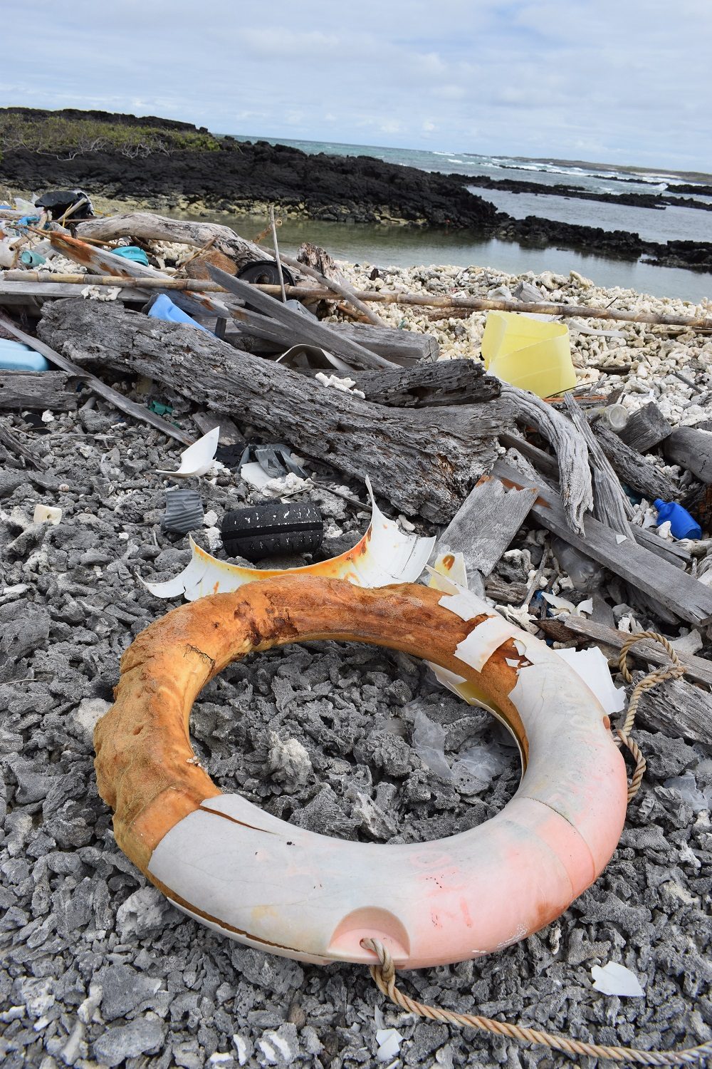 Plastic pollution on a Galapagos beach © GCT