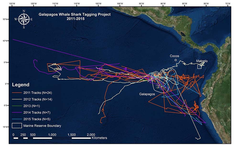 Projects, Whale Shark Tracks 2011-2015 © GWSP