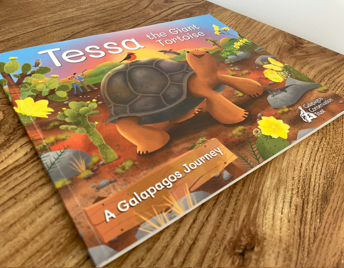 Tessa the Giant Tortoise story book