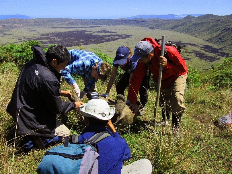 The team sampling a tortoise at the edge of the crater by Photo © Surya Castillo, CDF
