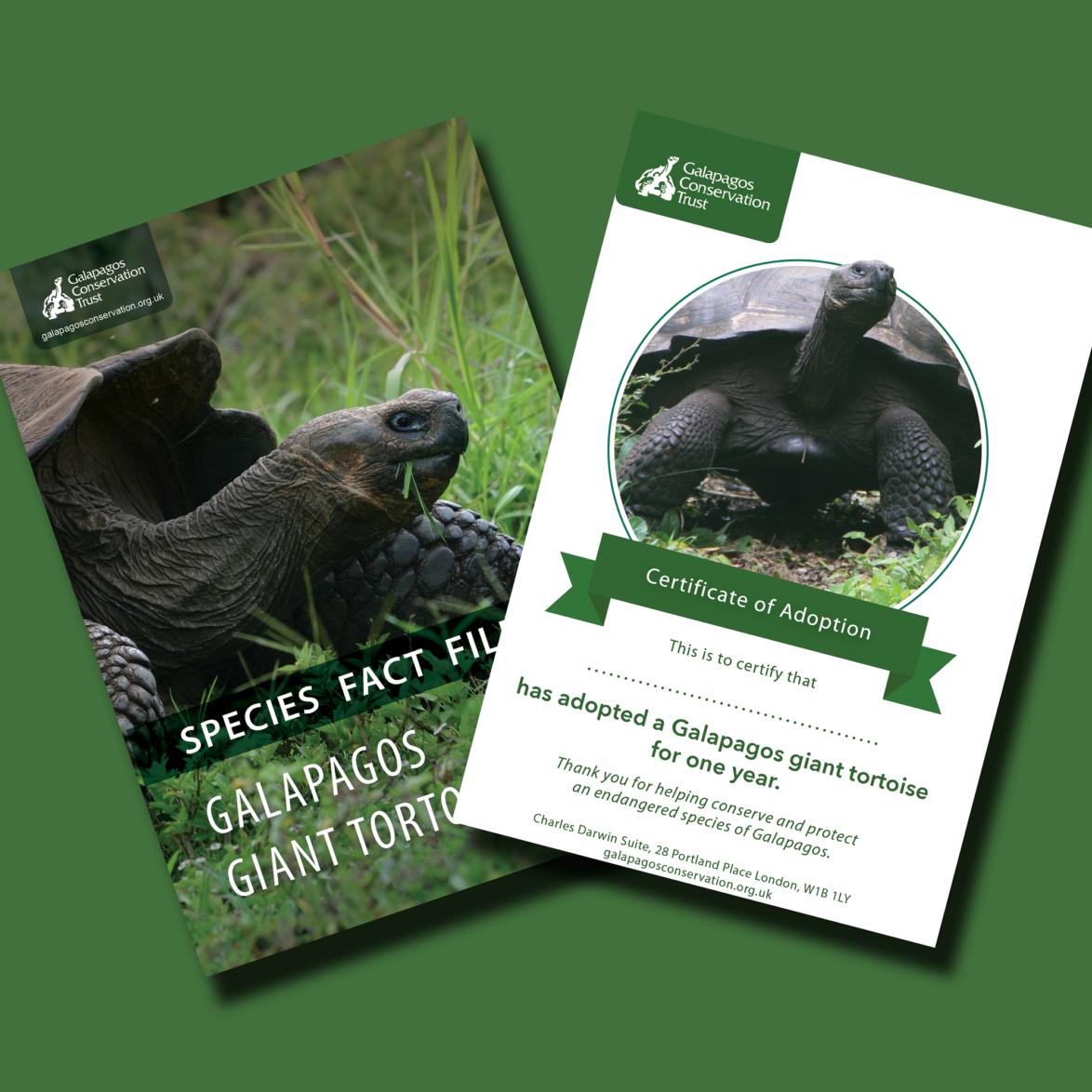 Adopt a Galapagos giant tortoise