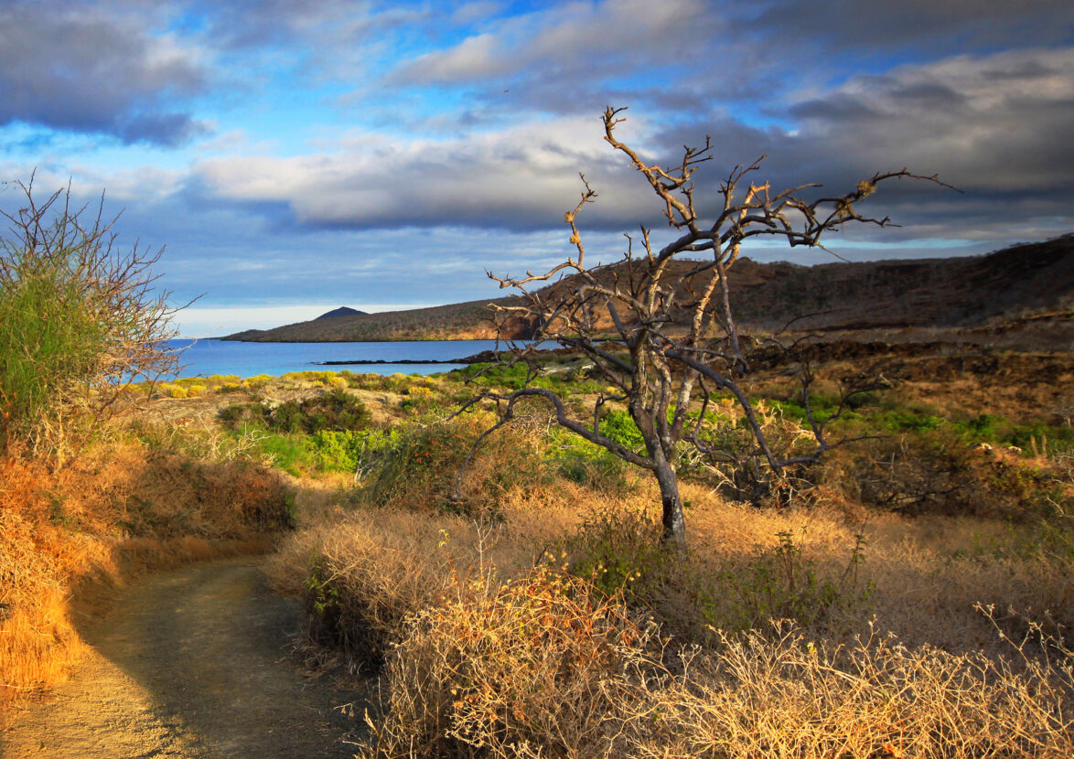 Coastal landscape in Floreana, Galapagos