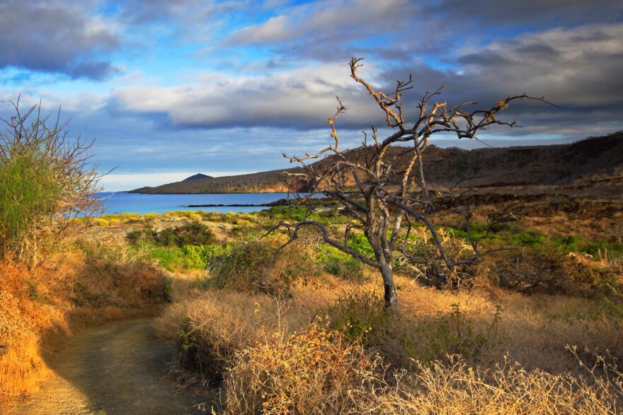 Coastal landscape in Floreana, Galapagos
