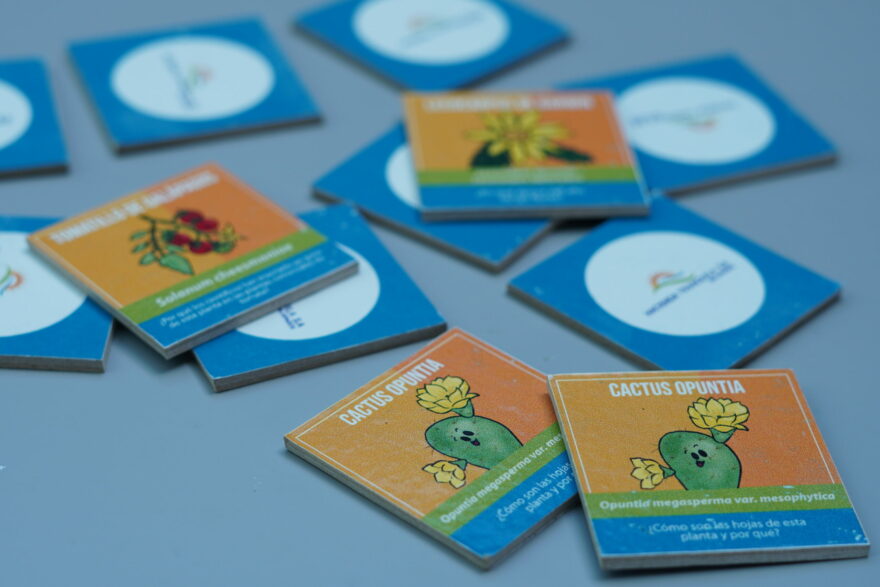 Educational memory game for children in Galapagos
