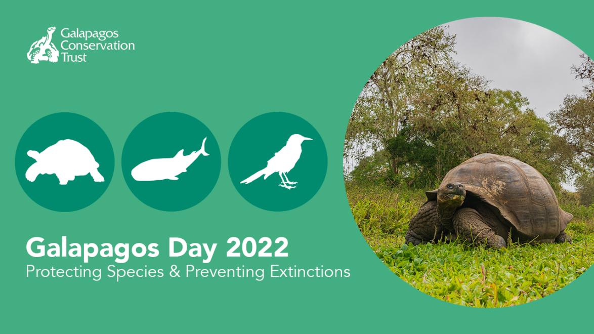 Galapagos Day 2022