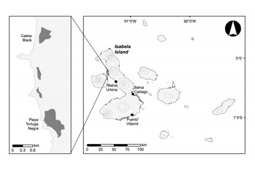 Map of mangrove finch habitat on Isabela island © M. Trueman
