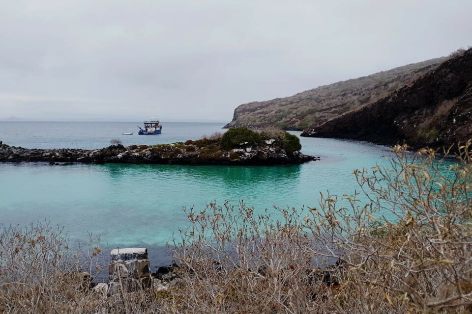 Pinzon island, Galapagos