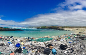 Plastic waste on a Galapagos beach