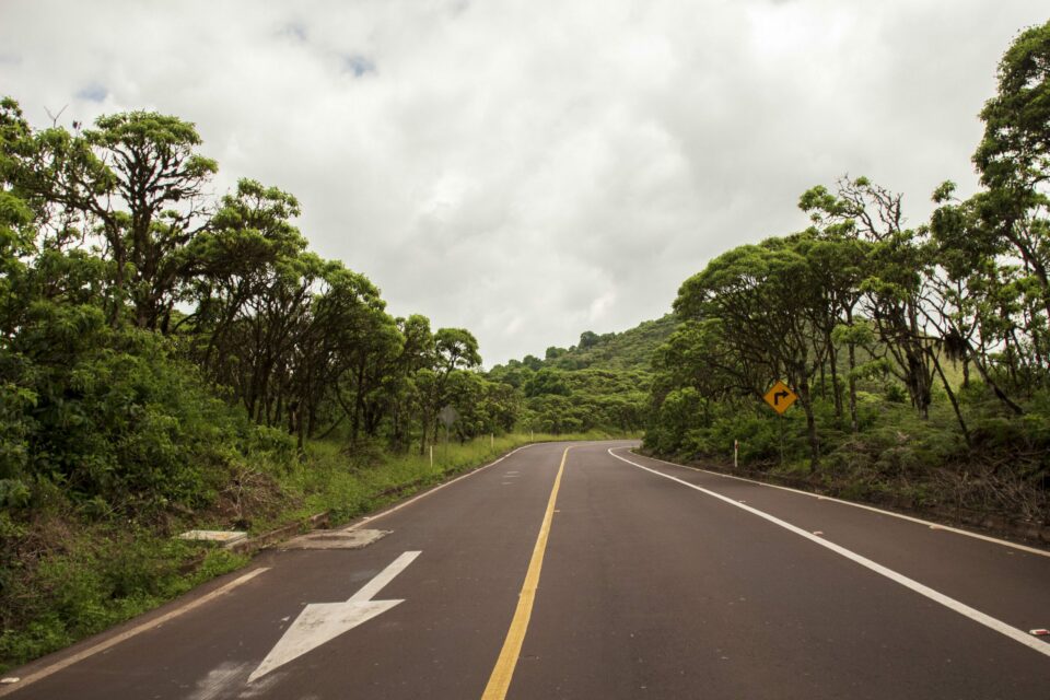 Road on Santa Cruz, Galapagos