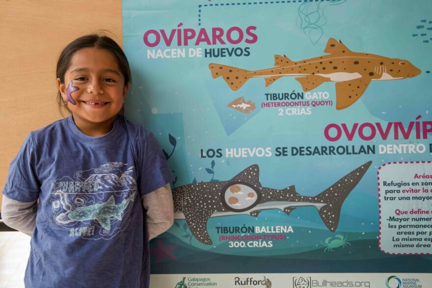 Shark Day event in Galapagos
