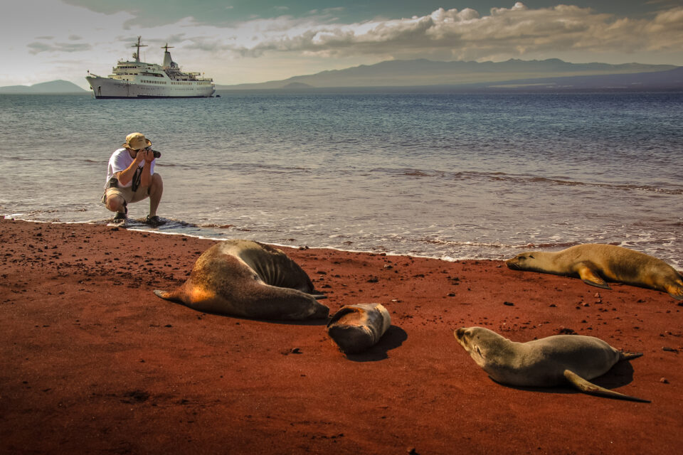 Tourist photographing sea lions on Rabida island, Galapagos