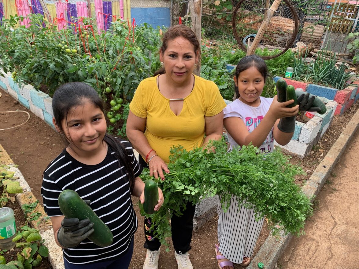 Urban Family Gardening project in Galapagos