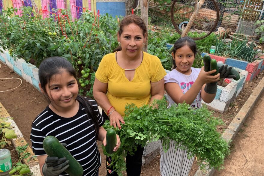 Urban Family Gardening project in Galapagos