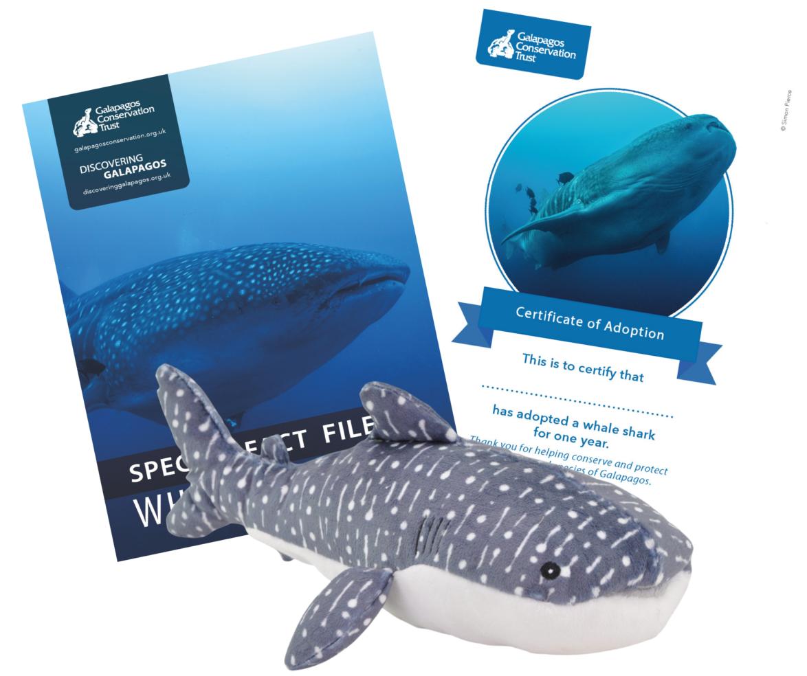 Our whale shark adoption pack, featuring a soft toy, certificate and fact file