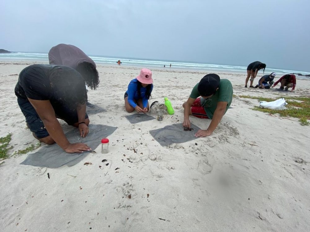 A group of young people searching for microplastics at the UNDP beach clean in February 2021 supported by Galapagos Conservation Trust © Anne Guezou