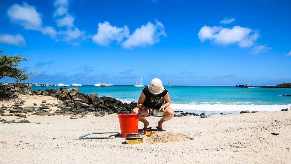 Sieving the sand to find microplastics on a beach on San Cristobal island