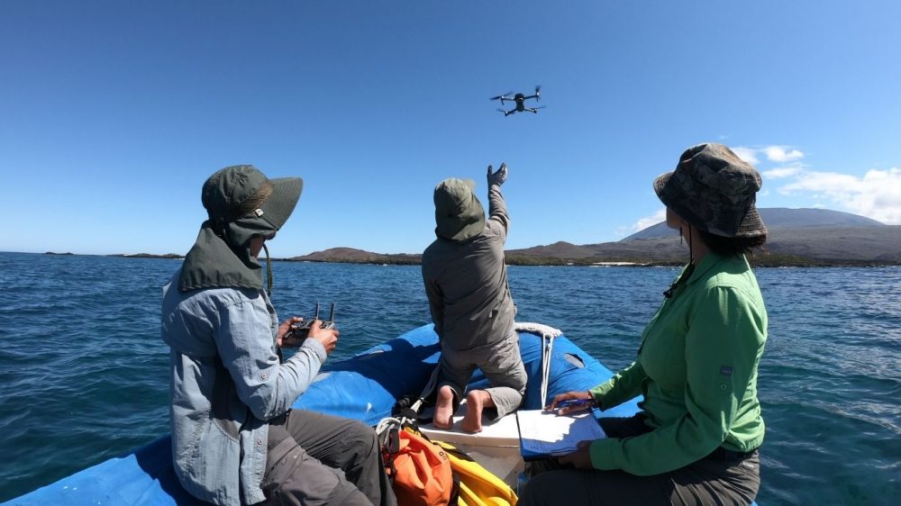 A photo of three members of the team capturing drone footage.  They are in a small blue dingy on still ocean water, flying a drone towards the shore..
