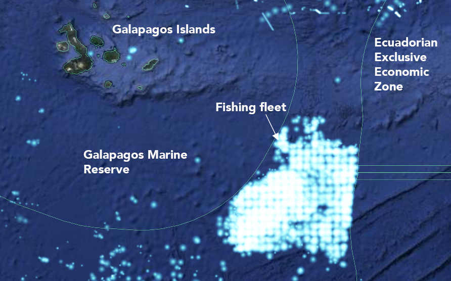 Satellite image of the international fishing fleet in June 2020 © Global Fishing Watch