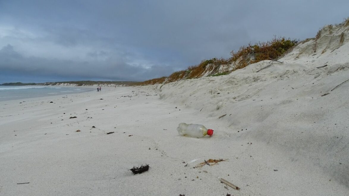 Example of plastic litter washed up on Tortuga Bay beach