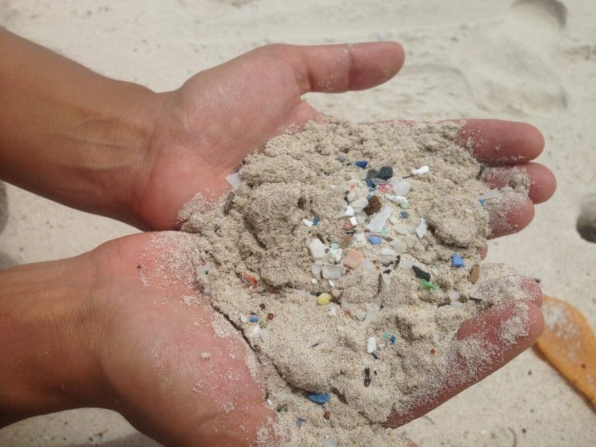 Example of microplastics washed up on a beach in Galapagos