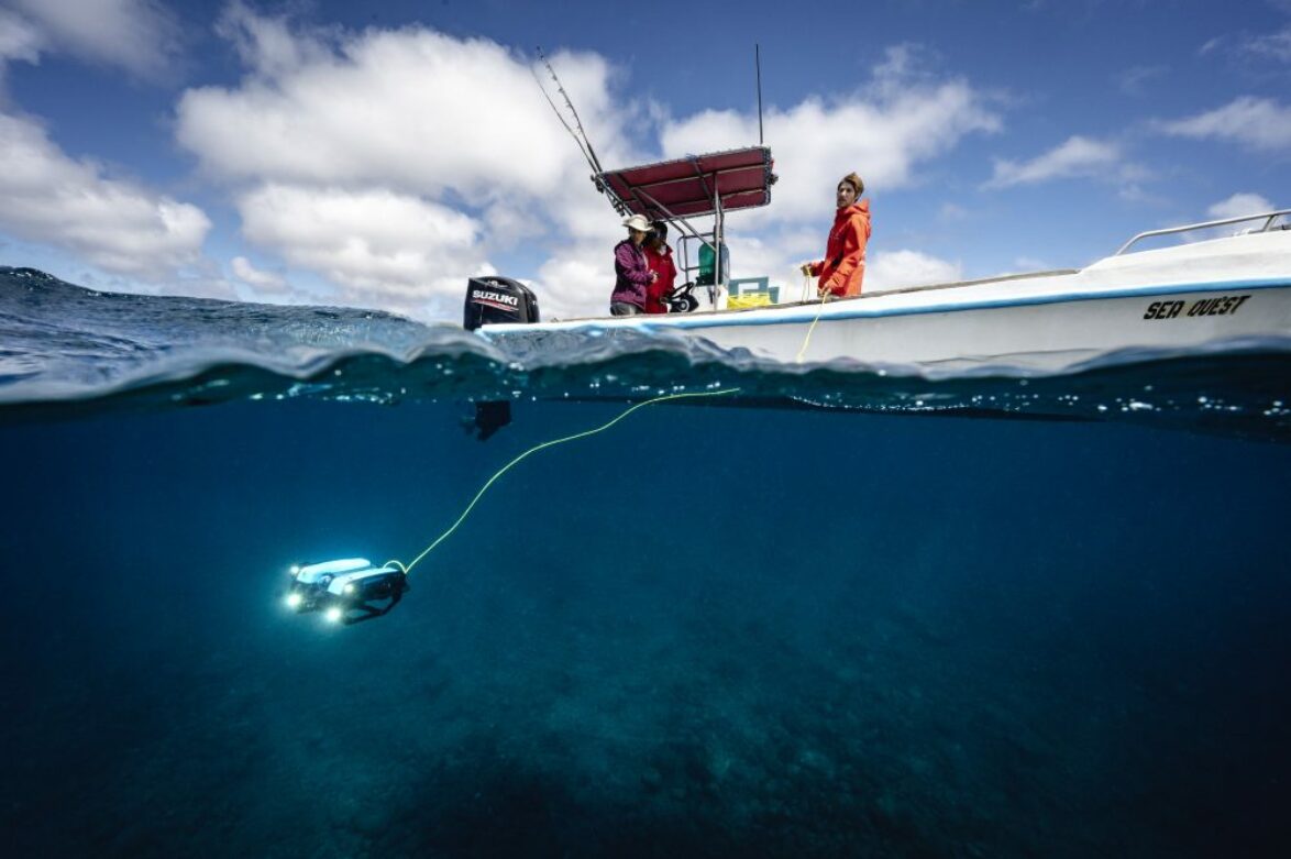 Conducting baited remote underwater video (BRUV) surveys © Rolex/Franck Gazzola