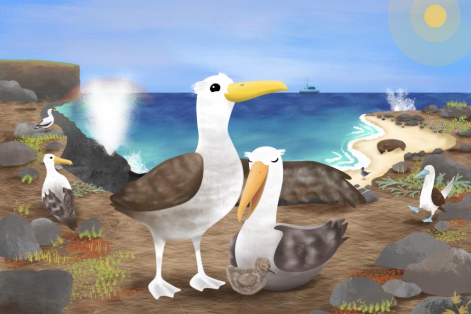 Alberto the Waved Albatross front cover image