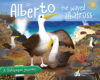 Alberto the Waved Albatross