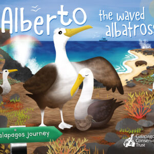 Alberto the Waved Albatross