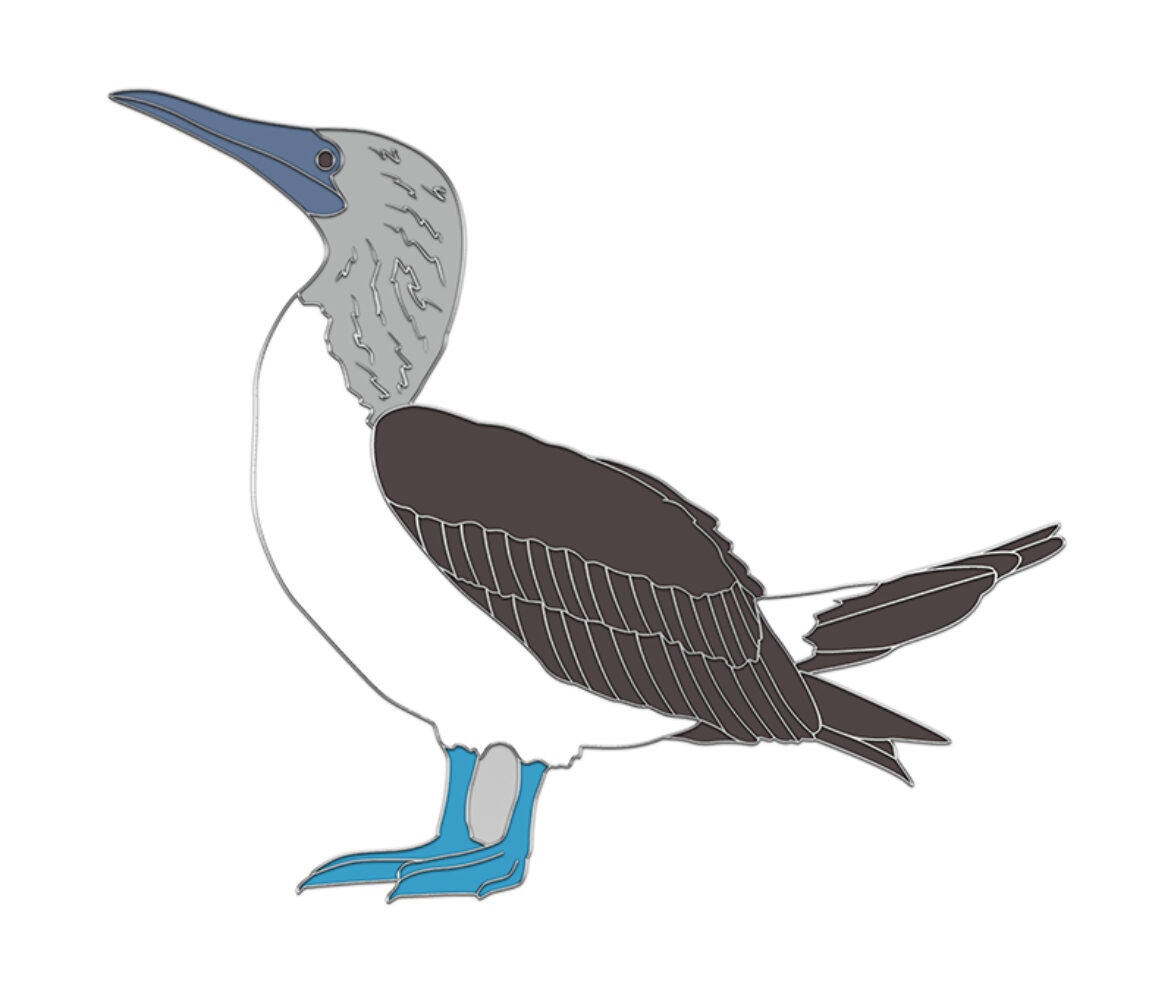 Blue-footed booby pin badge