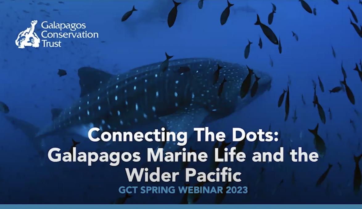Connecting the Dots: Galapagos Marine Life and the Wider Pacific