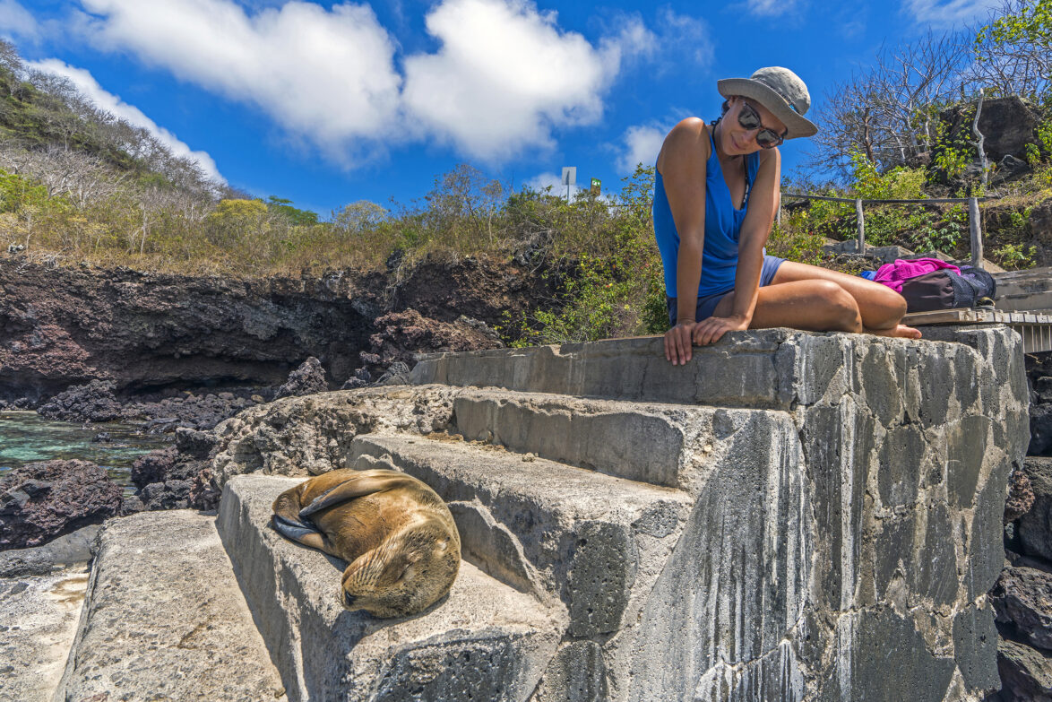 Galapagos sea lion and tourist
