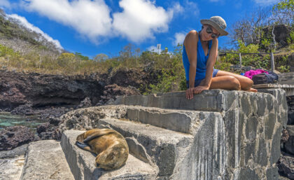 Galapagos sea lion and tourist