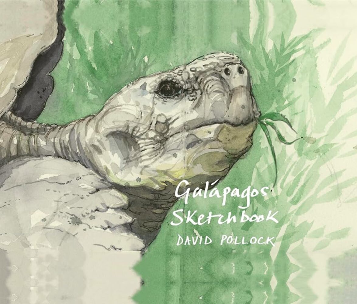 David Pollock - Galapagos Sketchbook