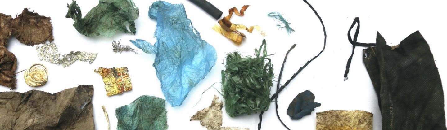 Plastic waste found in Galapagos giant tortoise faeces