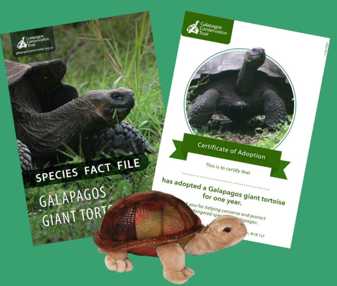 GCT Galapagos giant tortoise adoption pack