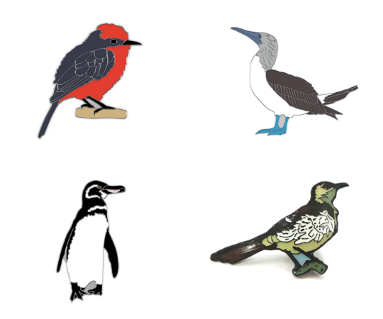 Birds of Galapagos pin badge collection