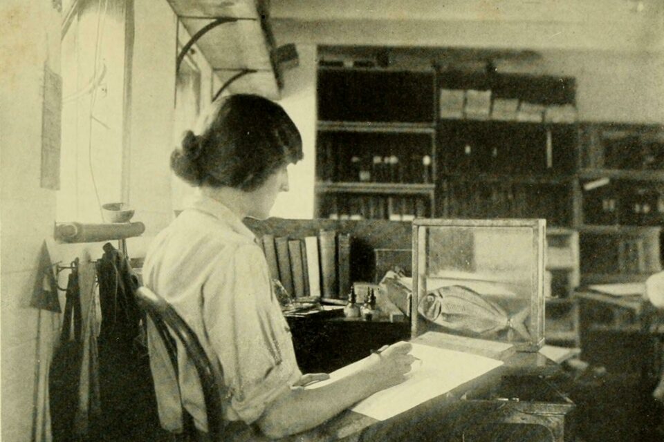 Isabel Cooper painting during the 1925 Arcturus expedition