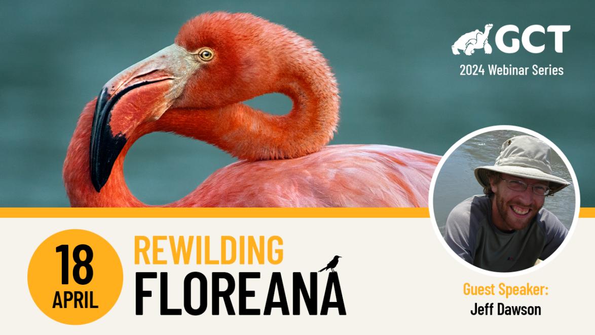 Rewilding Floreana webinar