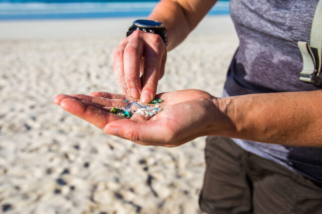 Plastic pollution in Galapagos